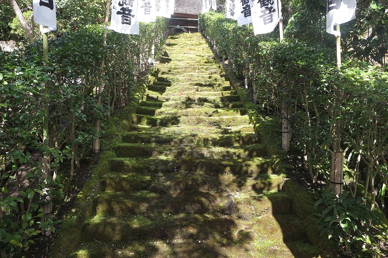 杉本寺の苔階段