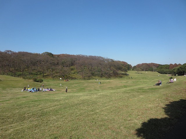 横浜市の「根岸森林公園」は子連れも楽しめるピクニックにおすすめの公園