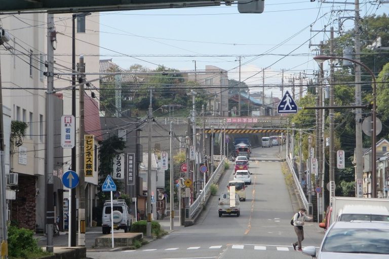 久里浜 花 の 国 自転車